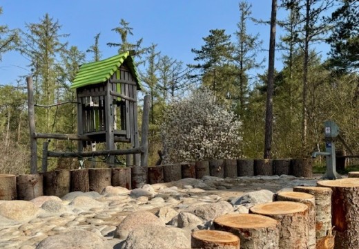 Speeltuin Zwijnenpoel 2 Camping De Haeghehorst.jpg