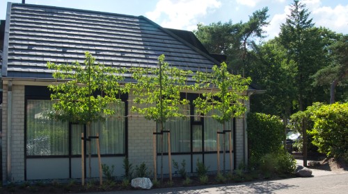 Camping De Haeghehorst-Ermelo-appartement-voorkant2jpeg.jpeg