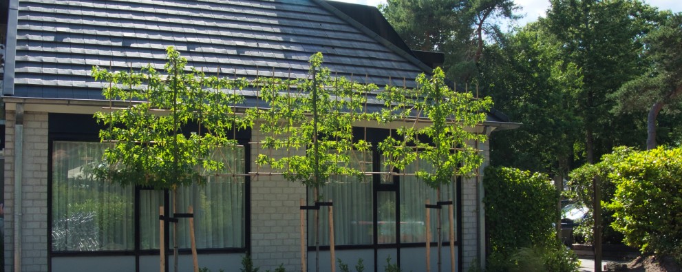 Camping De Haeghehorst-Ermelo-appartement-voorkant2jpeg.jpeg