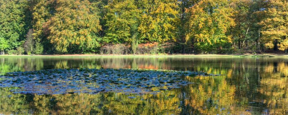 Bosrijk Veluwe Deposit