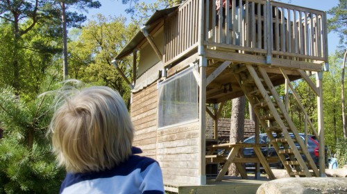 Camping De Haeghehorst-Boszicht -uitzicht