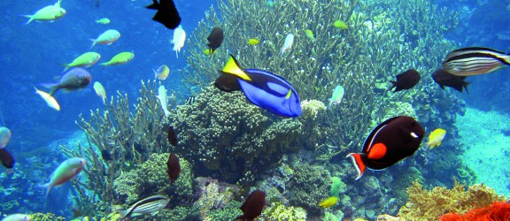 Burgers zoo 6