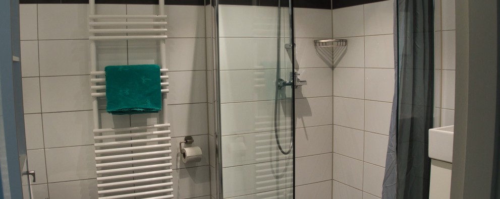 Camping De Haeghehorst-Ermelo-appartement-badkamer.jpeg