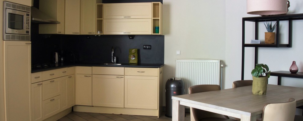 Camping De Haeghehorst-Ermelo-appartement-keuken.jpeg
