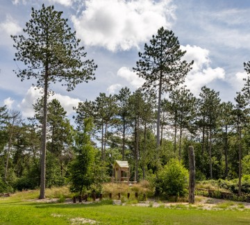 Omgeving bomen De Haeghehorst.jpg