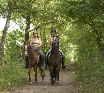 paard op pad.jpg