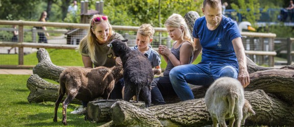 Gelderland - Kinderparadijs Malkenschoten - BinkyPromotie foto Binky (8).jpg