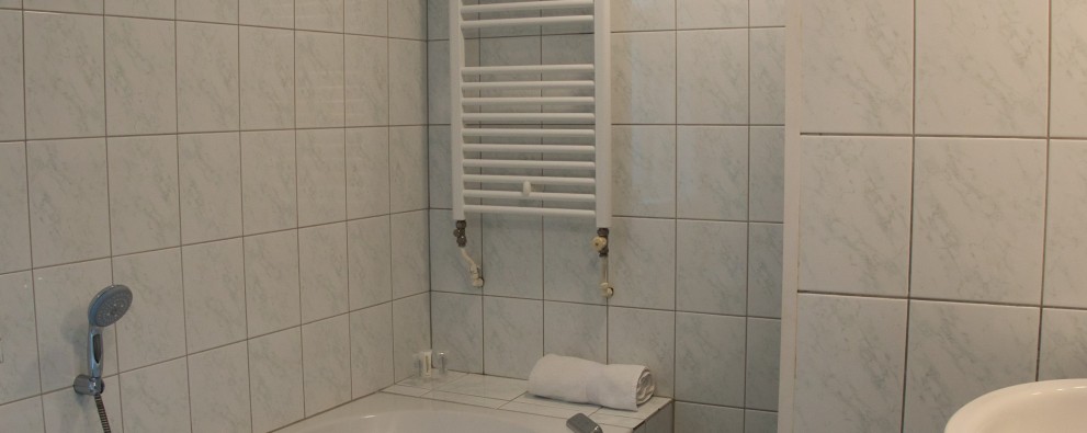 Camping en bungalowpark De Haeghehorst Ermelo - Bungalow Dopheide- badkamer.jpeg