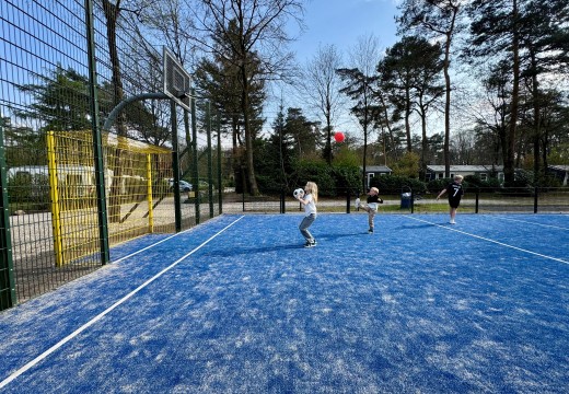 Sportveld 5- Camping De Haeghehorst.jpg