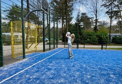 Sportveld 3- Camping De Haeghehorst.jpg