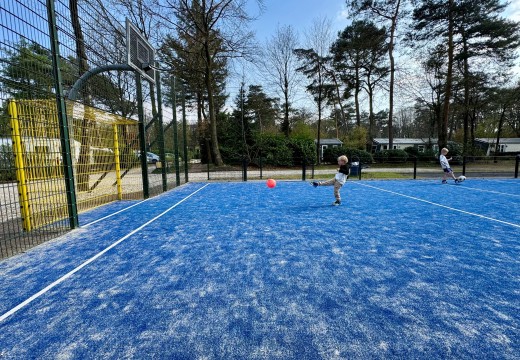 Sportveld 1- Camping De Haeghehorst.jpg