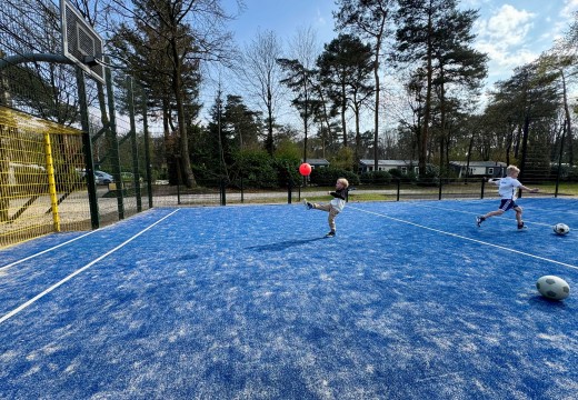 Sportveld 2- Camping De Haeghehorst.jpg