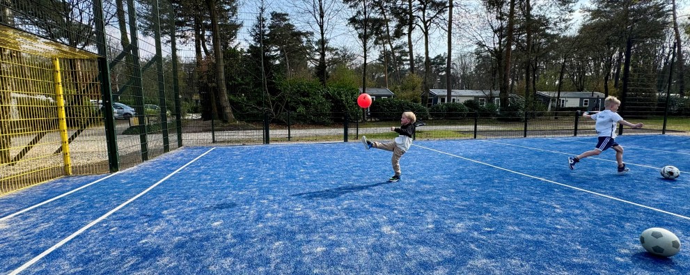 Sportveld 2- Camping De Haeghehorst.jpg