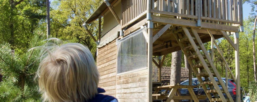 Camping De Haeghehorst-Boszicht -uitzicht