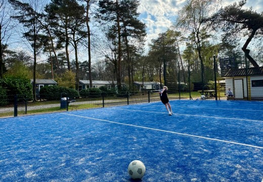 Sportveld 4- Camping De Haeghehorst.jpg